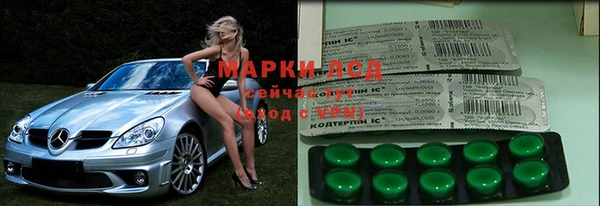 гидра Аркадак